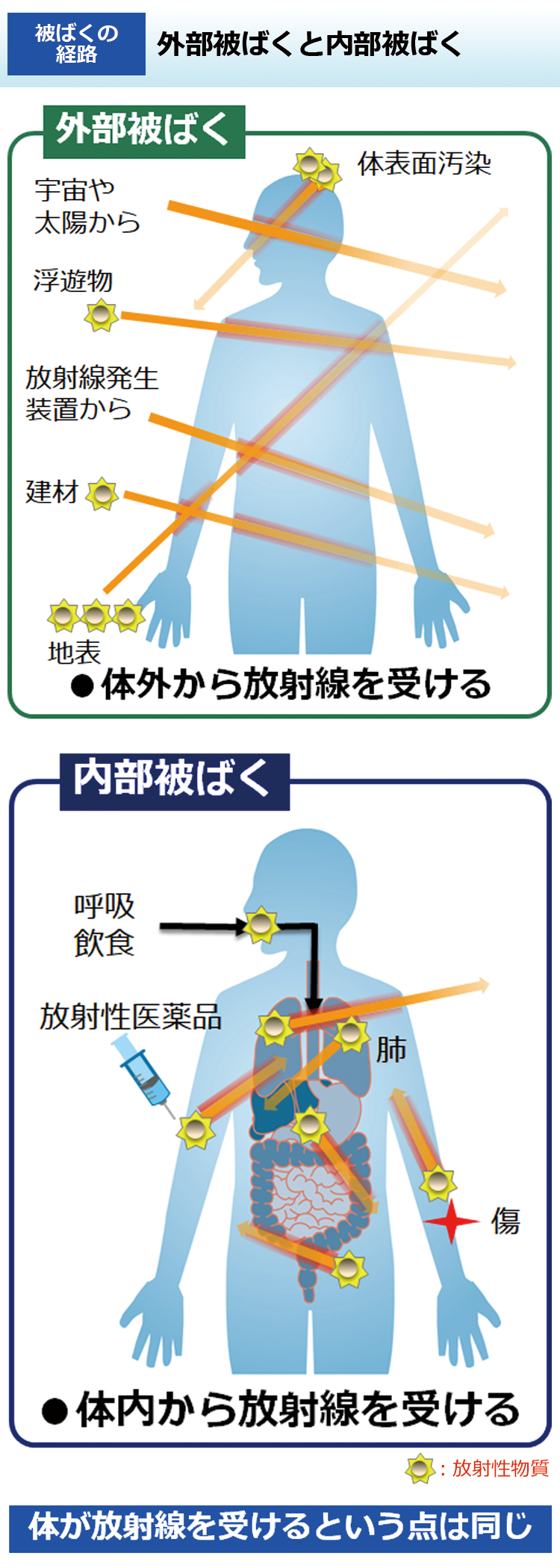 外部被ばくと内部被ばく