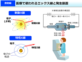 線量限度の適用