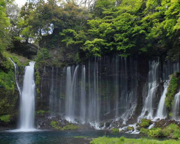富士箱根伊豆国立公園（SP表示）